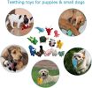 Squeaky Plush Dog Toy Pack for Puppy Stuffed Puppy Chew Toys