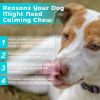 Natural Dog Calming Chews for Anxiety Relief, Behavior Support - Tasty & Safe