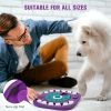 Dog Puzzle Food Feeder Slow Feeding Bowl Interactive Toy